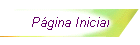 Página Inicial